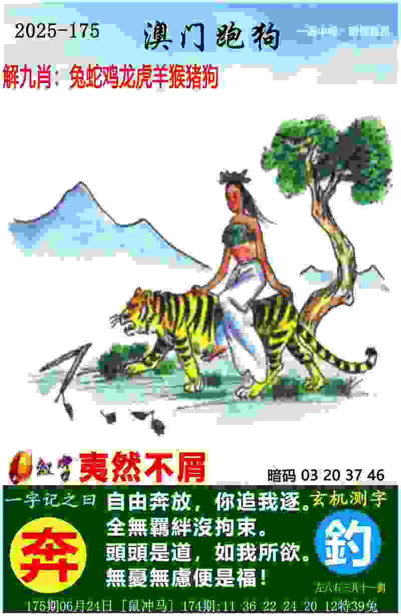 NBL半决赛：安徽文一淘汰陕西信达杀进总决赛